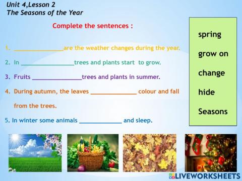 The Seasons of the Year