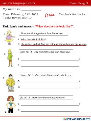 Seagull.FF1.U10(21.02)