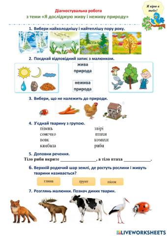 Діагностувальна робота з теми «Я досліджую живу і неживу природу»