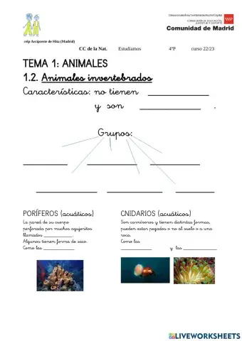 A.I.poríferos y cnidarios