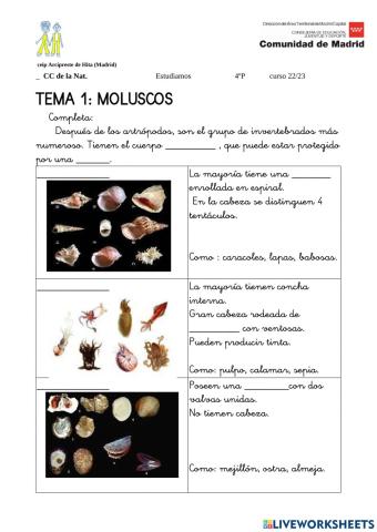 Moluscos