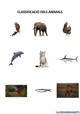 Classificació dels animals