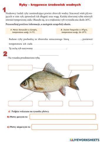 Ryby – kręgowce środowisk wodnych