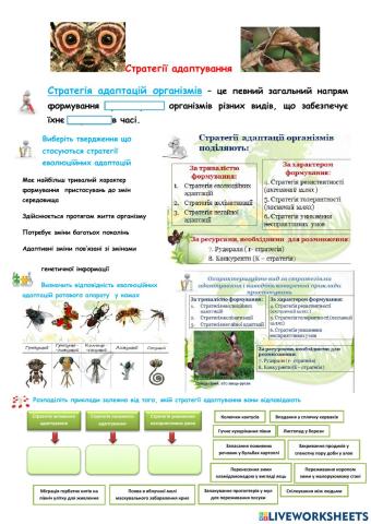 Стратегії адаптування
