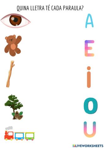 Quina lletra té cada paraula?