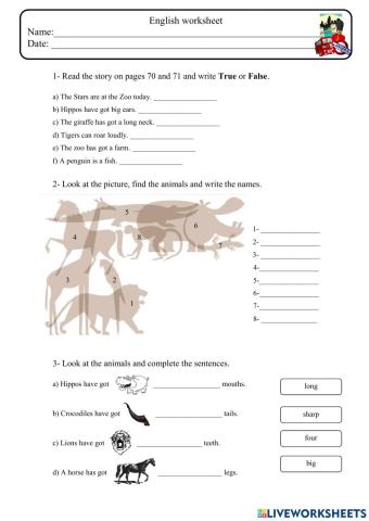 Animal comprehension