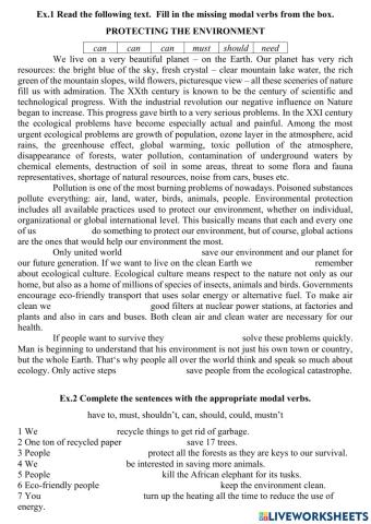 Modal verbs. Environment