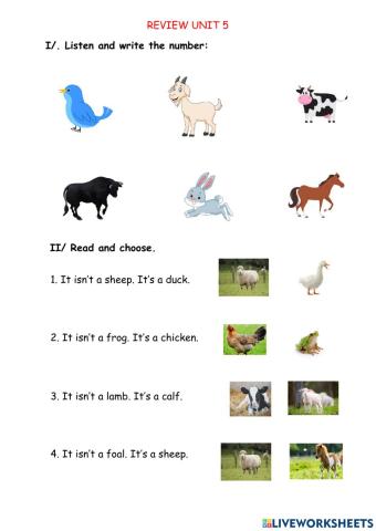 Review - farm animals