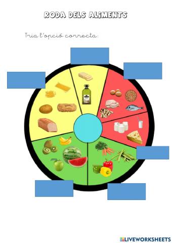La roda dels aliments