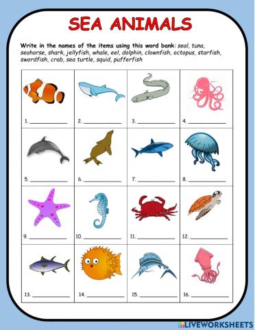 Sea Animals Vocabulary