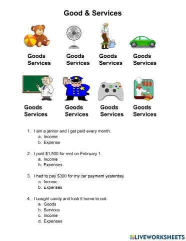 Goods, Services, Income, Expenses