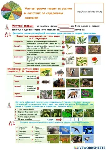 Життєві форми тварин та рослин  як адаптації до середовища  мешкання