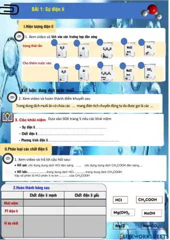 H11-b2- sự điên li