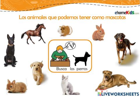 Asociación de animales