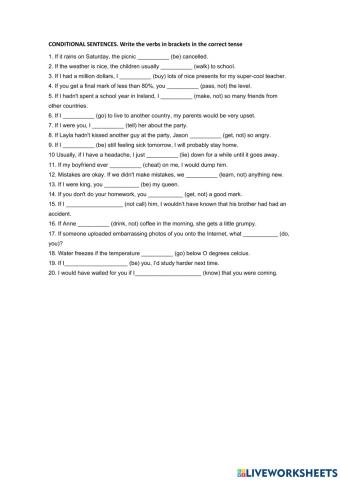 Conditional Sentences