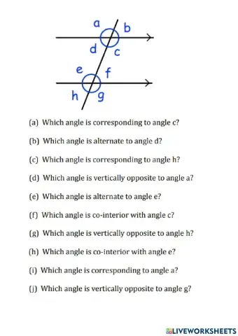 Angles in parallel lines