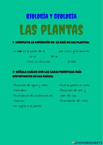 Plantas IV