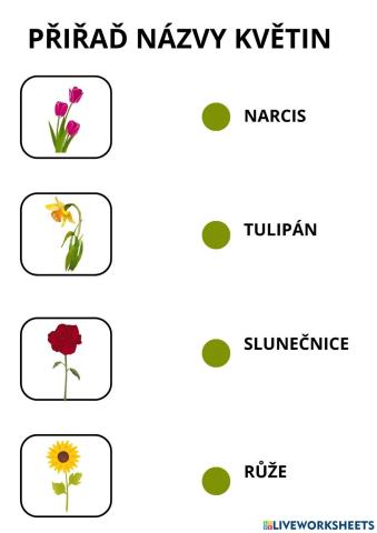 Jarní rostliny