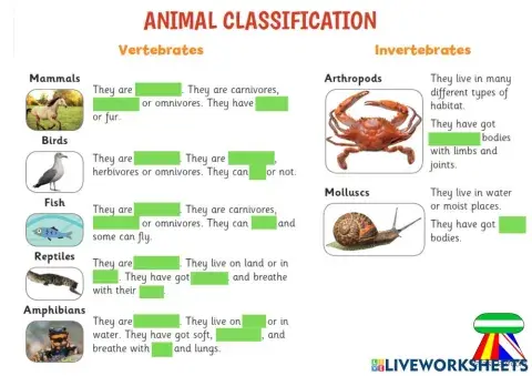 Classification of animals