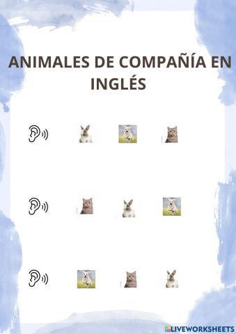 Animales de compañia en ingles