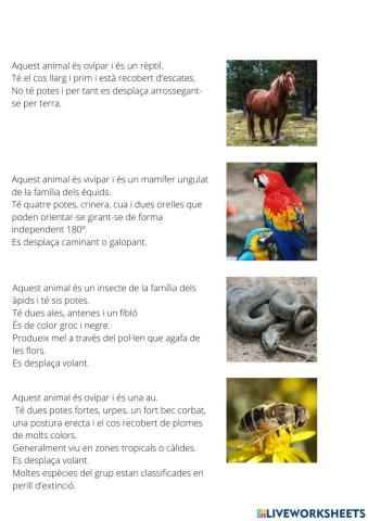 Descripció d'animals