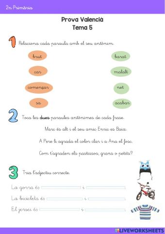 Antònims, adjectius i vocabulari