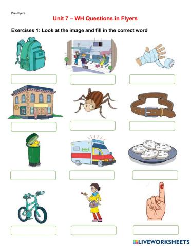 Pre-Flyers - Unit 7 - WH Questions in Flyers