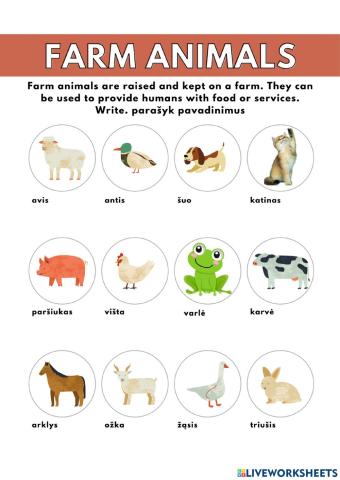 Farm animals