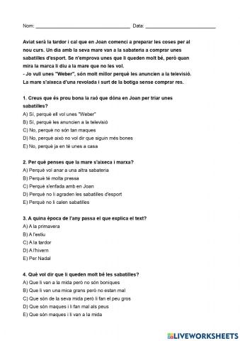 Comprensió lectora LES SABATES