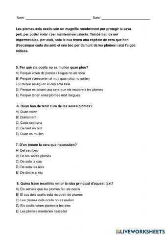 Comprensió lectora LES PLOMES