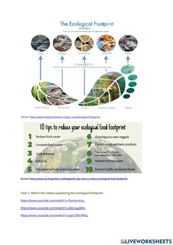 Ecological Footprint Essay