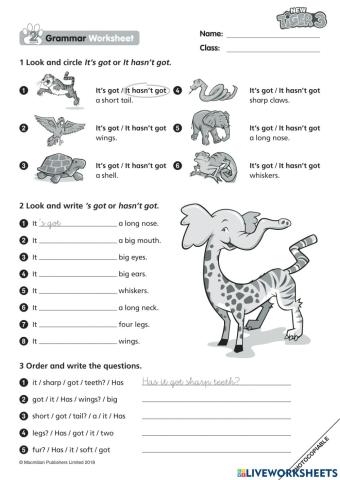 New tiger 3.  unit 2 review