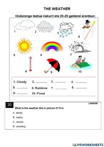 Reading. the weather