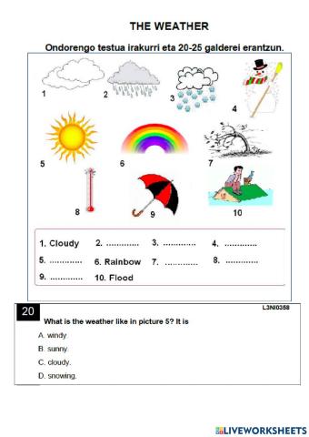 Reading. the weather