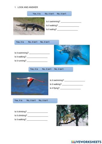 Short answer Present Continuous