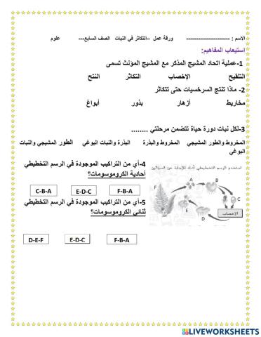 تكاثر النبات