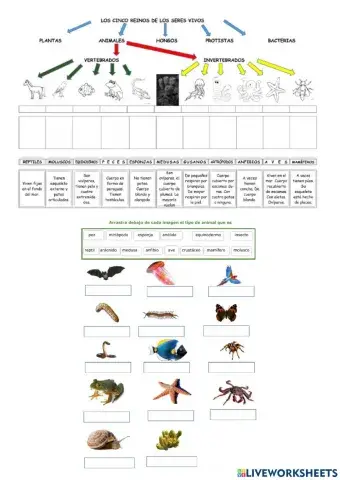 Animales vertebrados