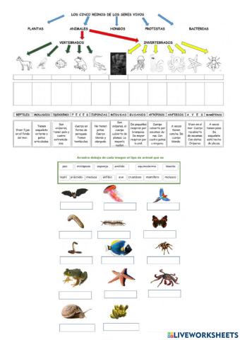 Animales vertebrados