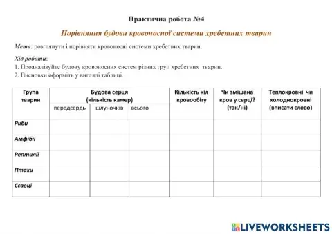 Практична робота №4