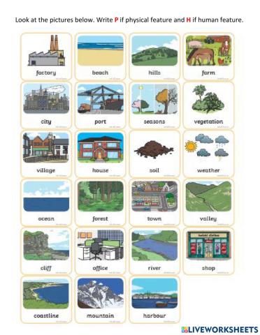 Physical Human Features