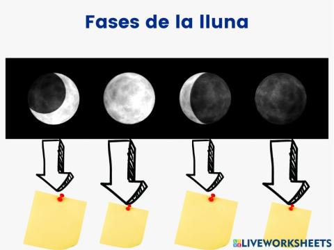 Fases de la Lluna