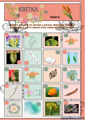 Гра бінго -Квітка-