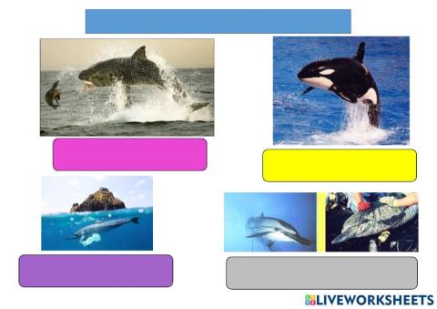 ELS ENEMICS DEL DOFÍ