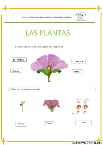 Las flores