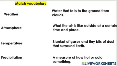 Vocab assessment 2