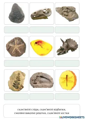 Викопні рештки