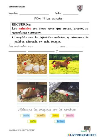 Ficha 15 Los animales-1EP-Ciencias Naturales