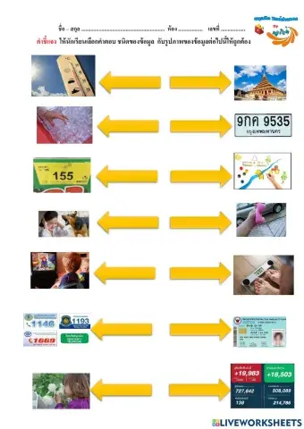 ประเภทของข้อมูล