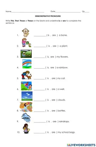 Demonstrative Determiner