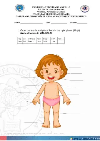 Parts of the human body